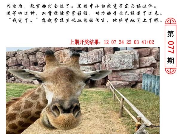 077期澳门生活幽默[图]